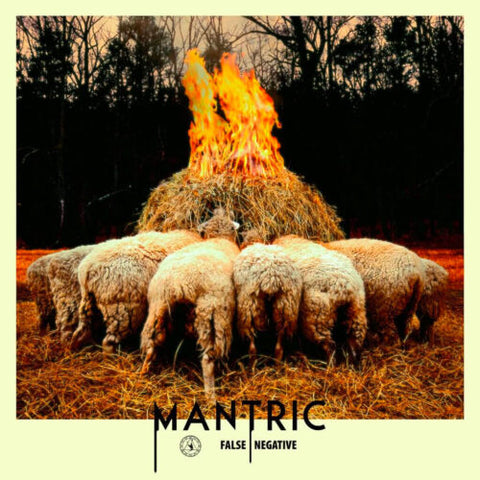 Mantric - False Negative LP